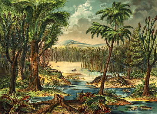 Natural.World - Carboniferous Period